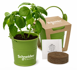 Image of Mini Pail Basil Blossom Kit